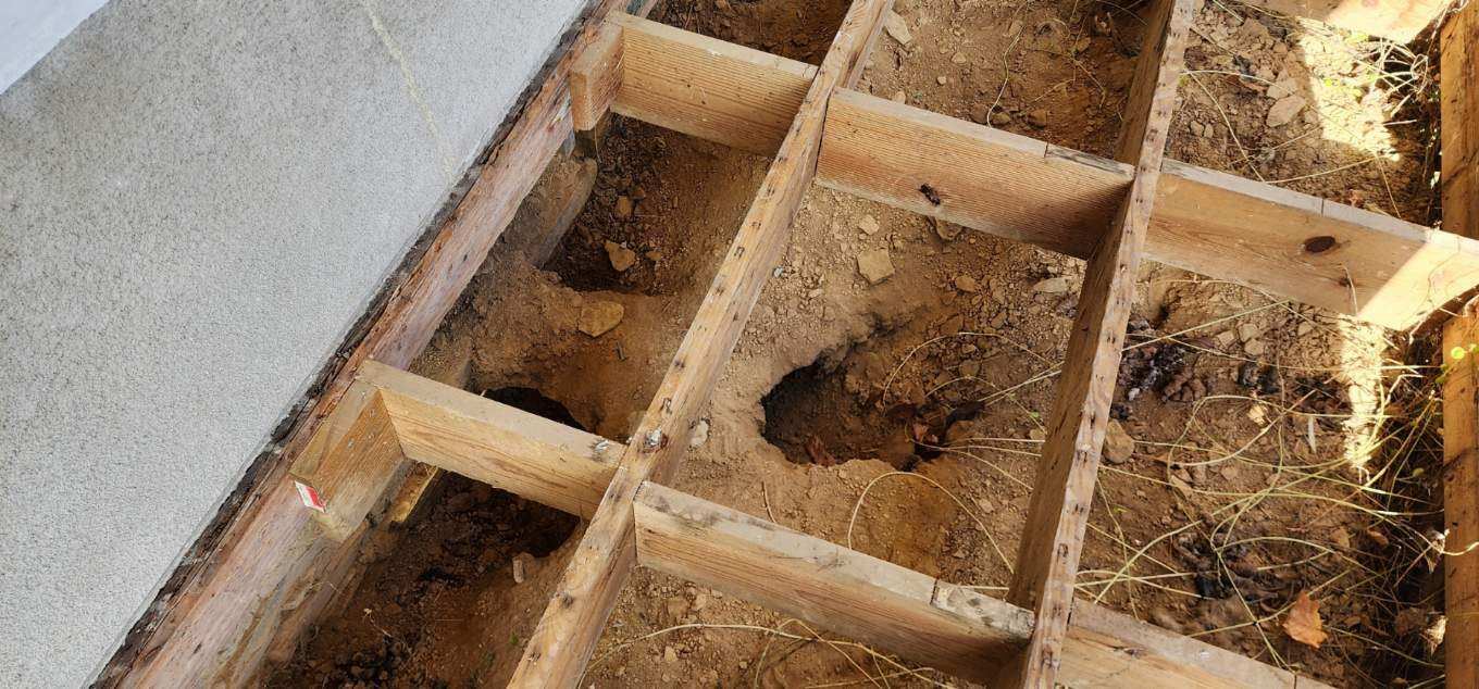Gopher damage discovered underneath the Craven House porch